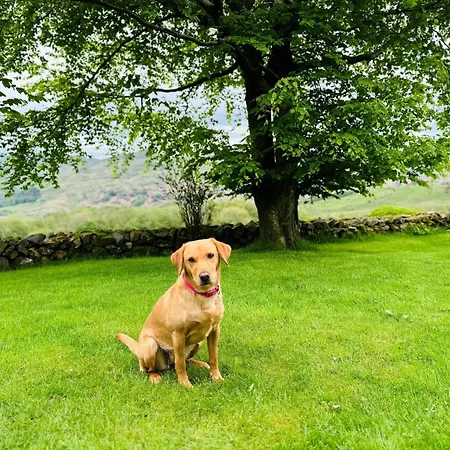 4 Bed In Duddon Valley 89418 Vakantiehuis Ulpha