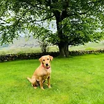 4 Bed In Broughton-in-furness Oc-89418 *