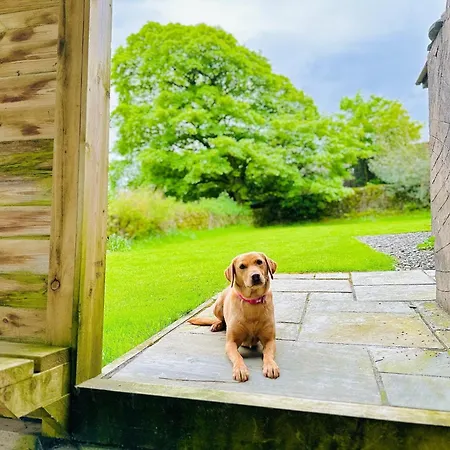 Casa de Férias 4 Bed In Duddon Valley 89418