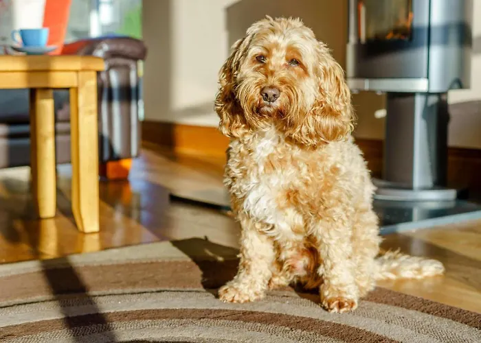 4 Bed In Broughton-in-furness Oc-89418 *